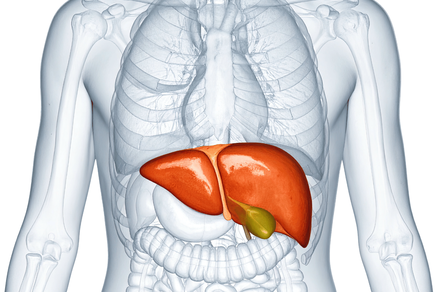 Tiha bolest koju ima svaki treći Srbin a ne zna za nju